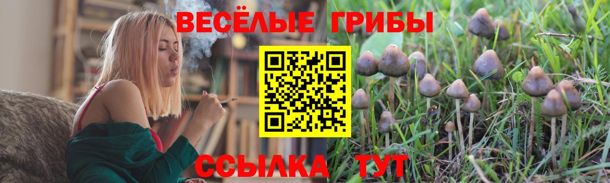 Галлюциногенные грибы ЛСД  Вход с VPN  Псилоцибиновые грибы GOLDEN TEACHER  Нарткала 